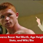 Canelo Álvarez Boxer Net Worth, Age Height, Weight, Stats, and Wiki/Bio 